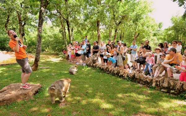 visite guidée forêt des singes Rocamadour